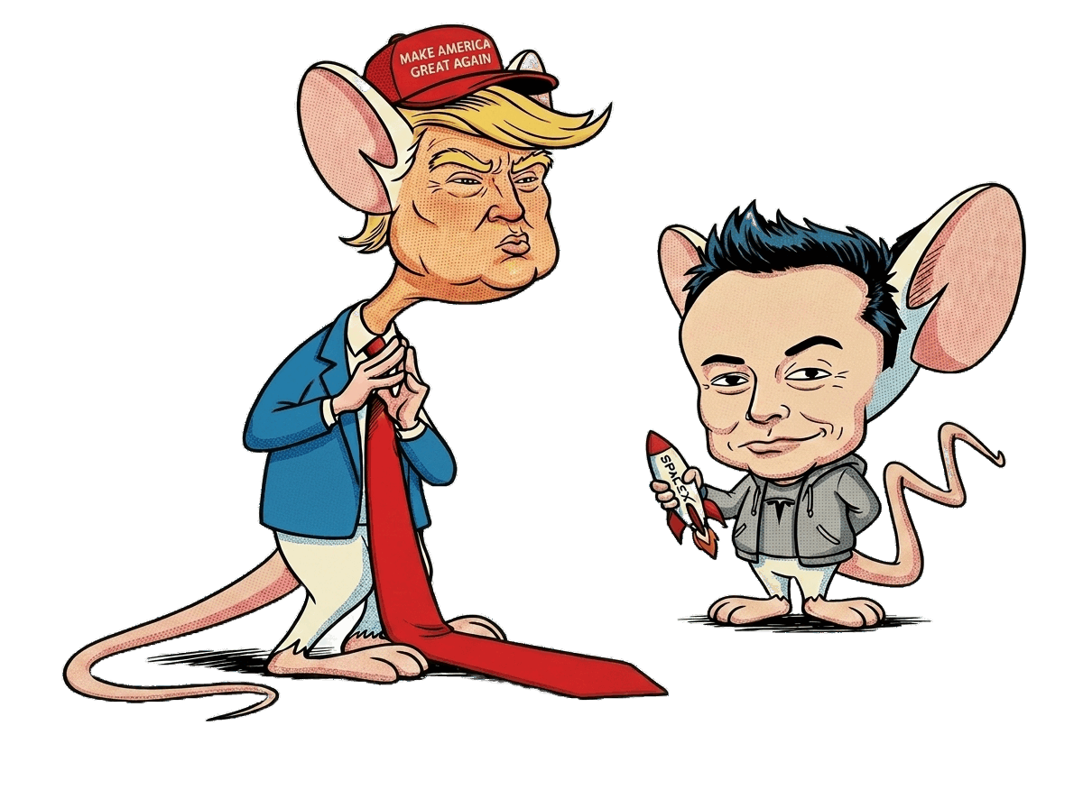 Pinky and Brain